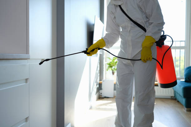 Professional Mold Remediation in Circle D Kc Estates, TX